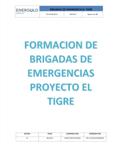 Formacion de Brigadas de Emergencia El Tigre
