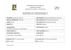 PROGRAMA GESTION DE LA PRODUCCION I