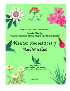 Plantas Aromaticas y Medicinales 72