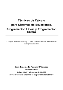 Tecnicas de Calculo para Sistemas de Ecuaciones, Programacion Lineal y Programacion Entera - Codigos en FORTRAN y C con aplicaciones en Sistemas de Energia Electrica