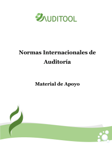 Normas Internacionales de auditoria