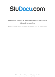 evidencia-sobre-la-identificacion-de-procesos-organizacionales (1)