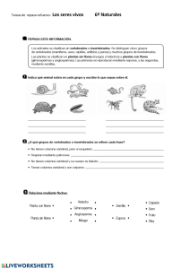 Ciencias Naturales 6º Primaria - Los Seres Vivos