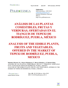 Plantas Comestibles Tepexi