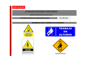 CARTEL DE ACCESO