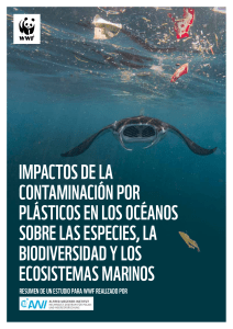 impactos de la contaminacion por plasticos en los oceanos   wwf