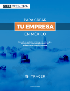 Guia Definitiva para crear tu empresa en México (Vol. 2)