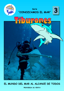 02. Tiburones autor Acuario Nacional de Cuba