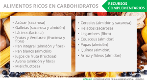 Alimentos ricos en Carbohidratos