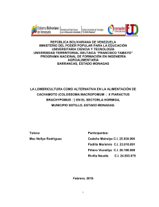 Proyecto Lombricultura I