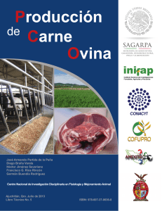 227788370-SAGARPA-InIFAP-Manual-Produccion-de-Carne-Ovina