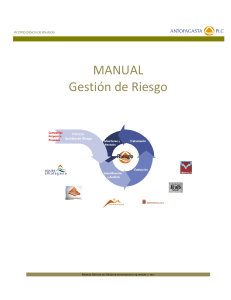 397452626-Manual-Gestion-de-Riesgos ★★★