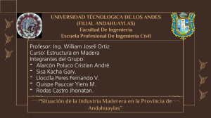 Situación de la Industria Maderera en la Provincia de Andahuaylas - PPT1