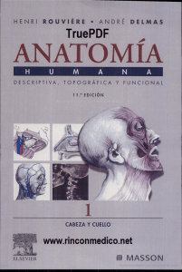 Anatomia Humana Descriptiva Topografica Funcional de Rouviere 11º Edicion Tomo I