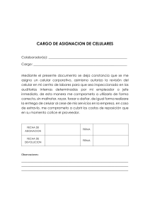 CARGO DE ASIGNACION DE CELULARES docx