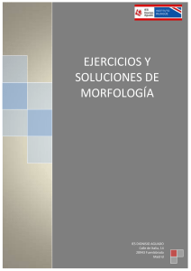 ejercicios-soluciones-morfologia