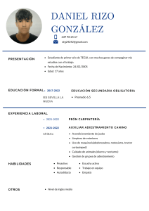 Curriculum profesional abogado contador azul (1)