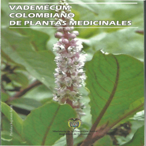 Plantas Medicinales Colombianas: Achiote y Ajenjo