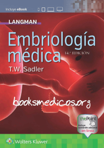 Langman Embriologia Medica 14e