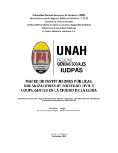 MAPEO DE ORGANIZACIONES LA CEIBA OV 2016