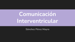 1. Comunicación Interventricular