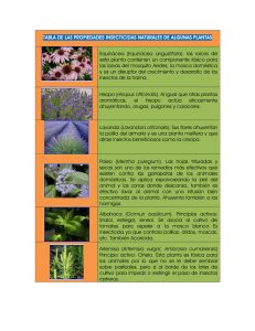 vsip.info plantas-insecticidaspdf-pdf-free