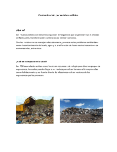 Contaminación por residuos sólidos