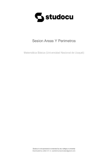 sesion-areas-y-perimetros
