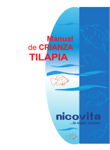 Manual de crianza de tilapia