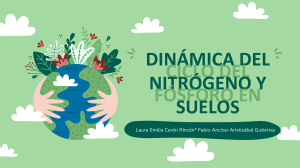 dinamica del ciclo del nitrogeno