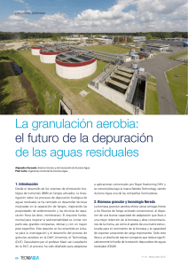 procesos-sistemas-granulacion-aerobia-futuro-depuracion-aguas-residuales-tecnoaqua-es