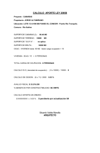 13.-INFORME CALCULO  APORTE LEY 20958 ROL 333-8