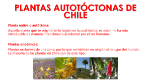 Plantas autóctonas de Chile