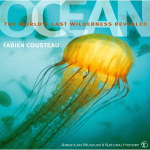 Ocean: The Worlds Last Wilderness Revealed