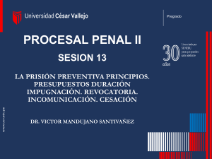 Sesión 13 - Derecho Procesal Penal II(2) (1)