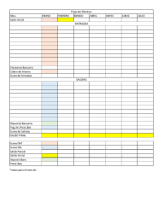 PLANTILLA  FLUJO EFECTIVO