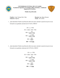 S3-ORTIZ CATTY- FLUIDOS DE PERFORACION