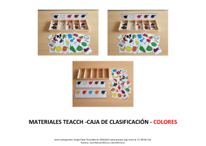 TEACCH Caja Clasificacion Colores