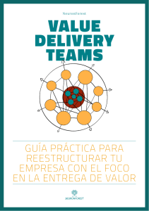 Value Delivery Teams  - NeuronForest