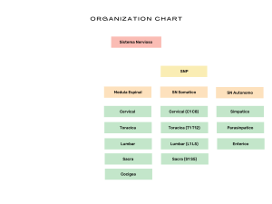 Beige Modern Business Organization Chart Graph