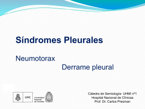 2019-Síndromes Pleurales 