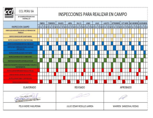 CRONOGRAMA DE INSPECIONES