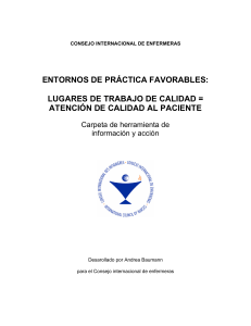 CIE. Entornos de Practica Profesional