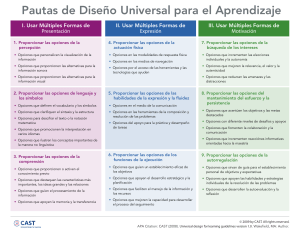 DUA-UDL Guidelines v2 0 Organizer espanol (1)