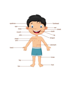 las teorias y el cuerpo humano