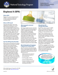 Bisphenol A National Toxicology Program
