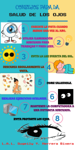 D.V.INFOGRAFIA.LA SALUD DEL OJO.