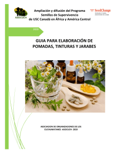 Guia Elaboracion Recetas Plantas Medicinales USC 2020
