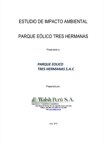 pdf-00-resumen-ejecutivo-parque-eolico compress