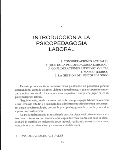 Libro - Introduccion a la psicopedagogia laboral